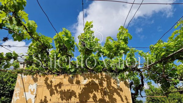Immagine 27 di Terreno in vendita  in Contrada Tuli-Jala a Parabita