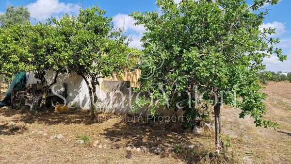 Immagine 28 di Terreno in vendita  in Contrada Tuli-Jala a Parabita