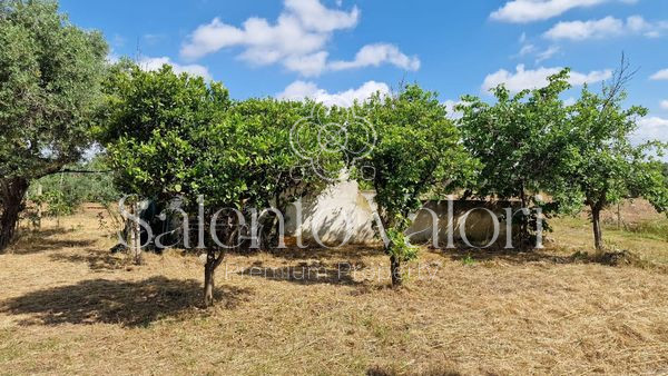 Immagine 29 di Terreno in vendita  in Contrada Tuli-Jala a Parabita