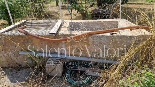 Immagine 31 di Terreno in vendita  in Contrada Tuli-Jala a Parabita