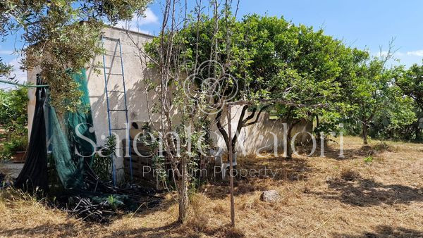 Immagine 33 di Terreno in vendita  in Contrada Tuli-Jala a Parabita