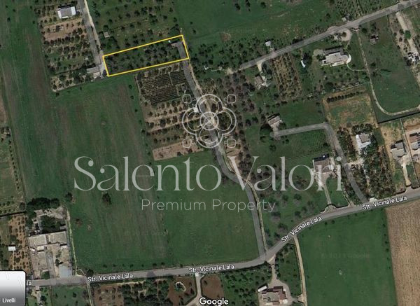 Immagine 35 di Terreno in vendita  in Contrada Tuli-Jala a Parabita