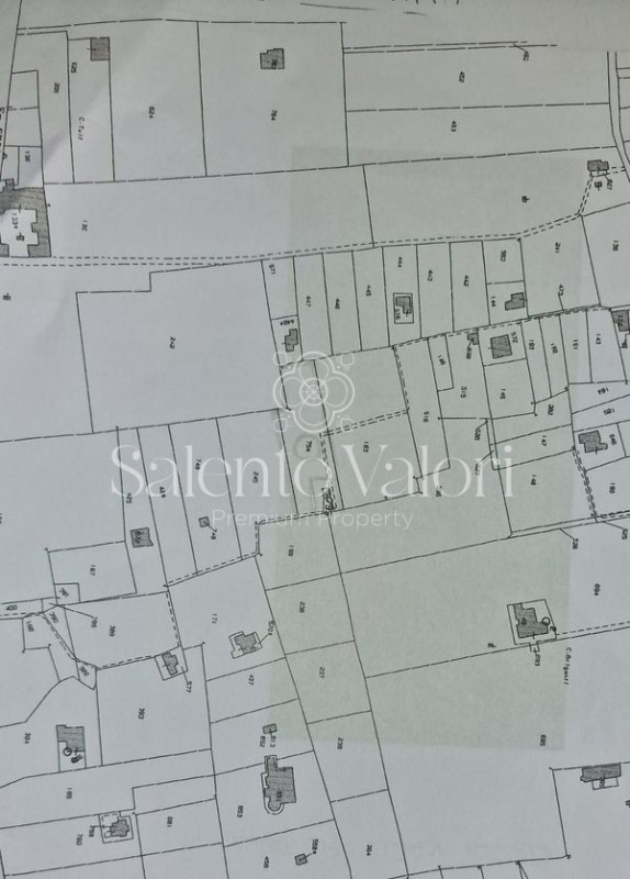 Immagine 36 di Terreno in vendita  in Contrada Tuli-Jala a Parabita