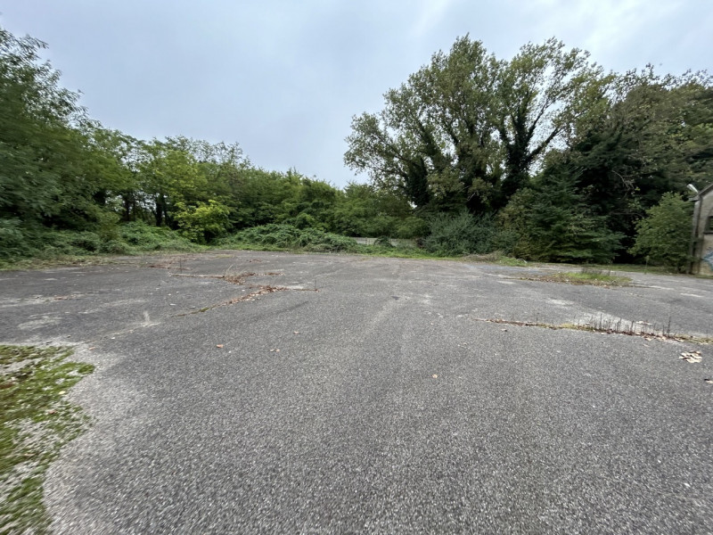 Immagine 3 di Capannone industriale in vendita  a Mantova