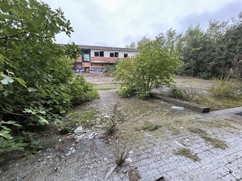 Immagine 19 di Capannone industriale in vendita  a Mantova