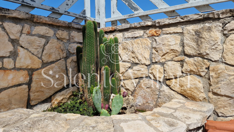 Immagine 13 di Casa indipendente in vendita  in Via Fabio Filzi 139 a Matino