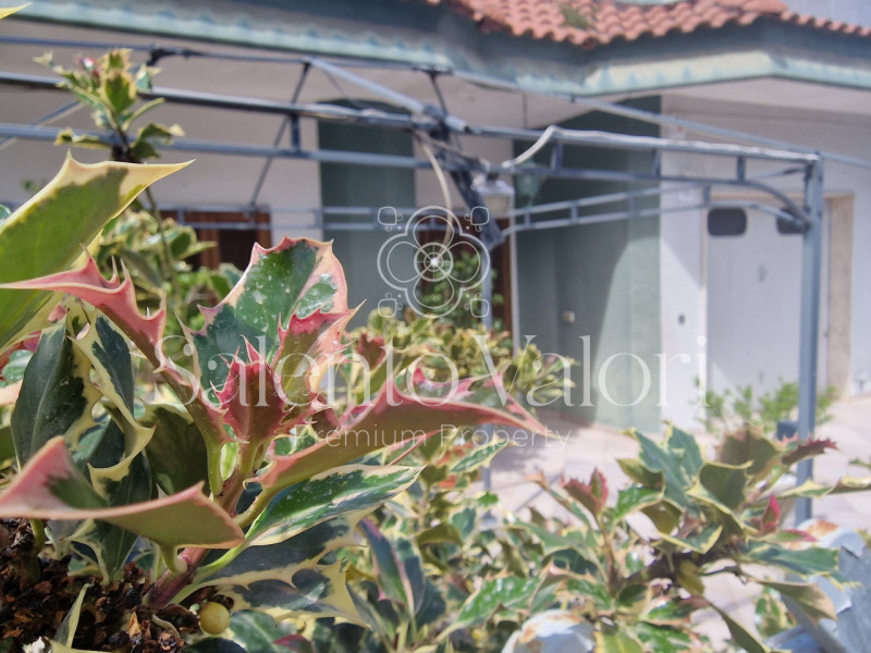 Immagine 14 di Casa indipendente in vendita  in Via Fabio Filzi 139 a Matino