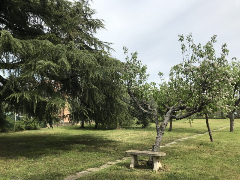 Immagine 2 di Casa indipendente in vendita  a Mondolfo
