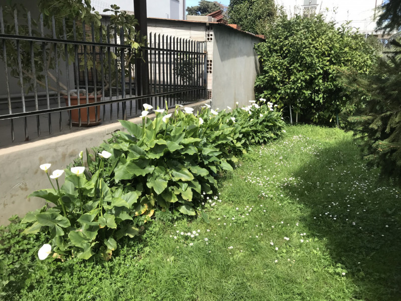 Immagine 29 di Casa indipendente in vendita  a Mondolfo