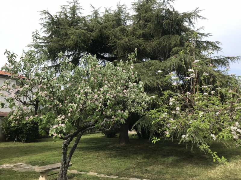 Immagine 30 di Casa indipendente in vendita  a Mondolfo