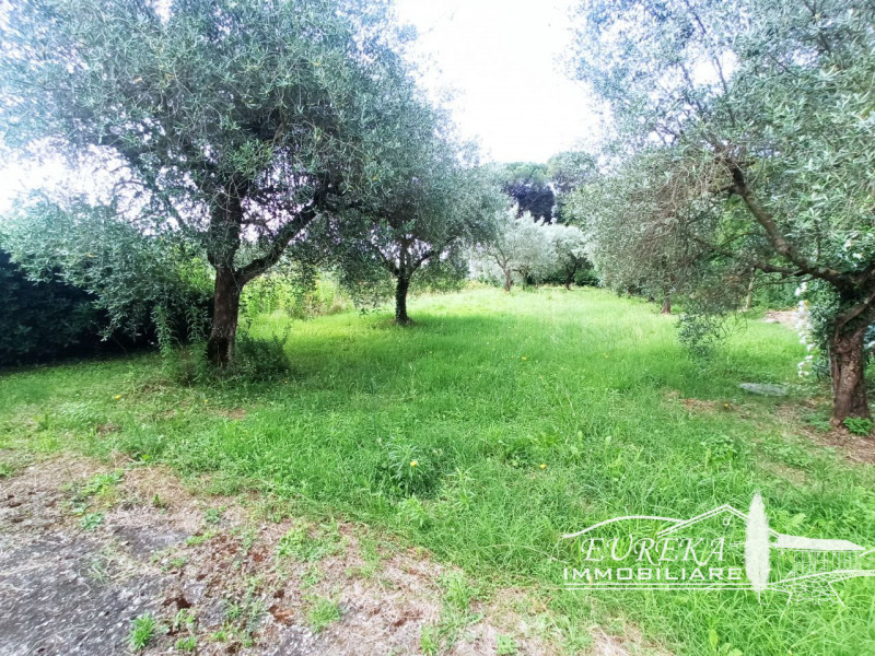 Immagine 43 di Villetta a schiera in vendita  in VERNAZZANO a Tuoro Sul Trasimeno