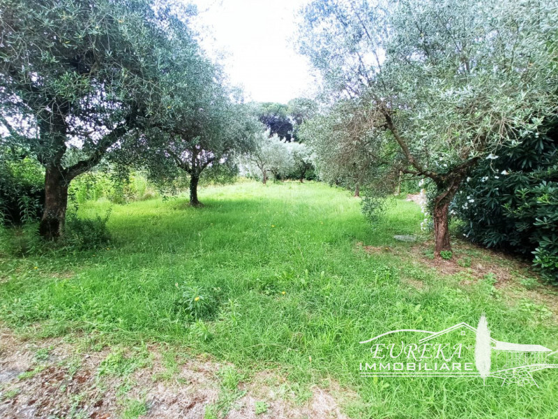 Immagine 44 di Villetta a schiera in vendita  in VERNAZZANO a Tuoro Sul Trasimeno