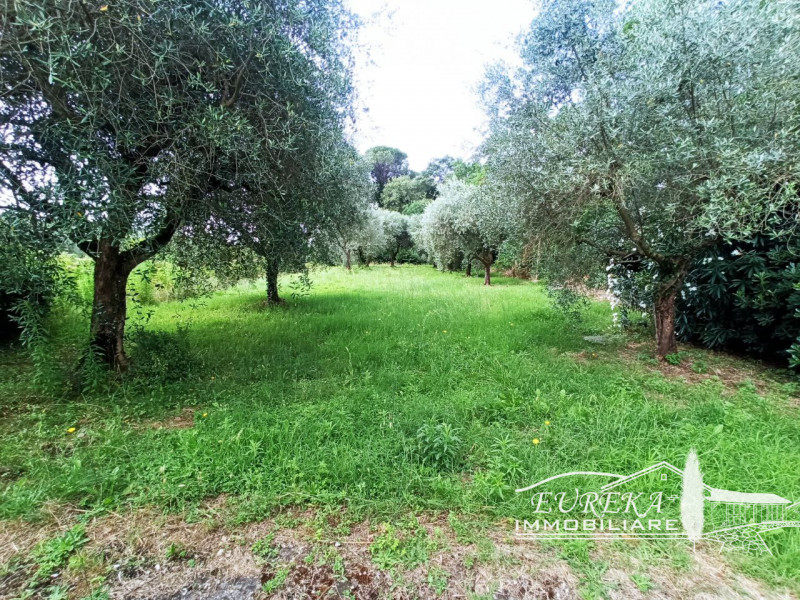 Immagine 45 di Villetta a schiera in vendita  in VERNAZZANO a Tuoro Sul Trasimeno