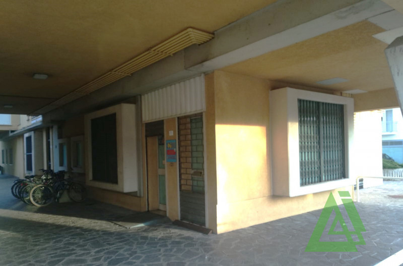 Immagine 1 di Laboratorio in vendita  a Riese Pio x