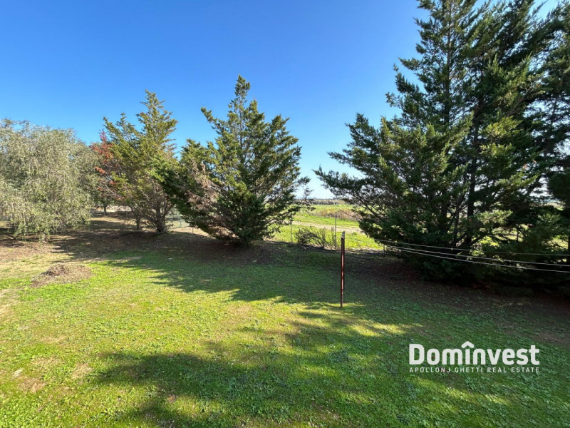 Immagine 14 di Villa in vendita  in Strada dell'Abbadia a Capalbio