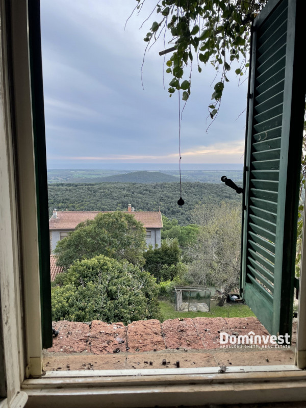 Immagine 8 di Appartamento in vendita  in Via Vittorio Emanuele II a Capalbio