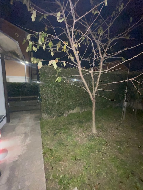 Immagine 15 di Villetta a schiera in vendita  a Campodarsego