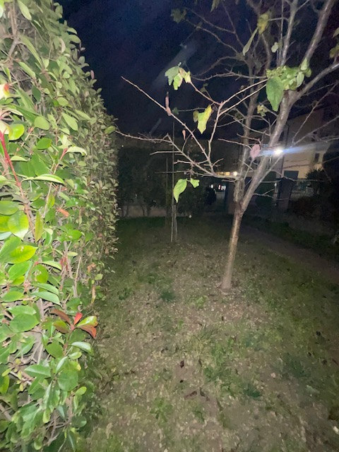 Immagine 16 di Villetta a schiera in vendita  a Campodarsego