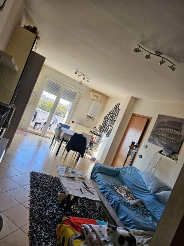 Immagine 4 di Appartamento in vendita  a Suzzara