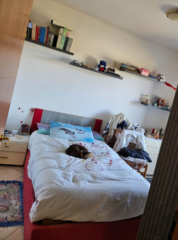 Immagine 10 di Appartamento in vendita  a Suzzara