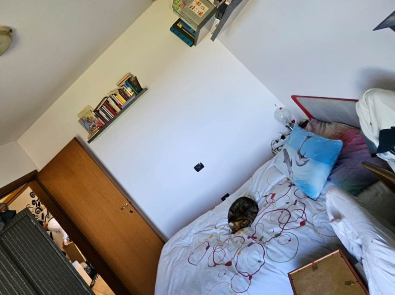 Immagine 13 di Appartamento in vendita  a Suzzara