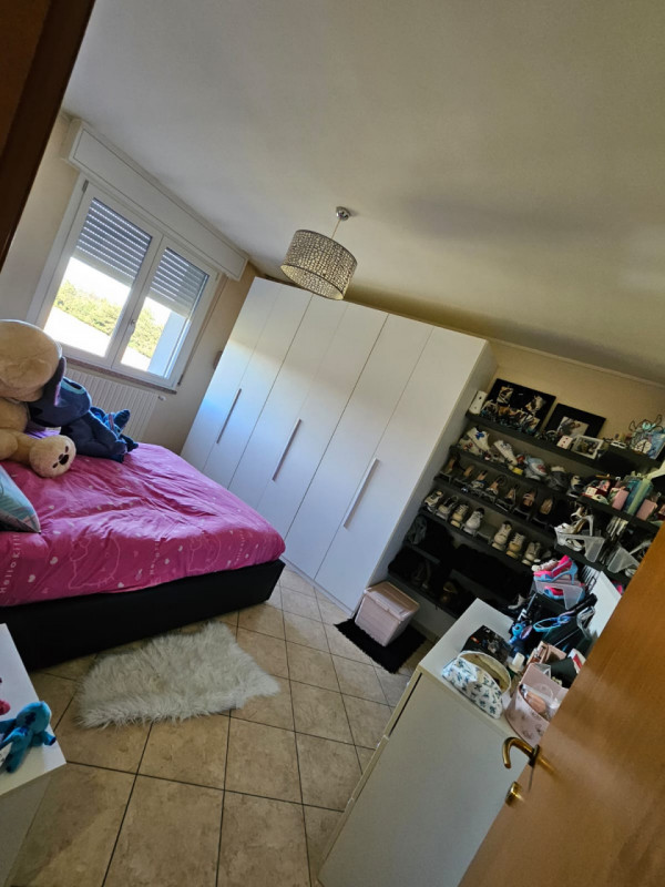 Immagine 18 di Appartamento in vendita  a Suzzara