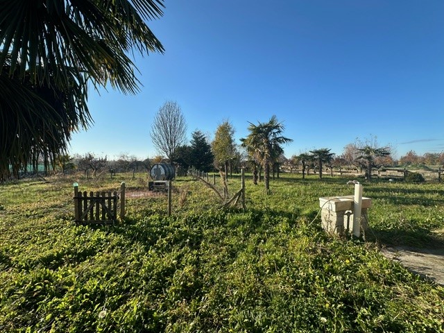 Immagine 28 di Casa indipendente in vendita  in via Sant'Antonio a Vigodarzere