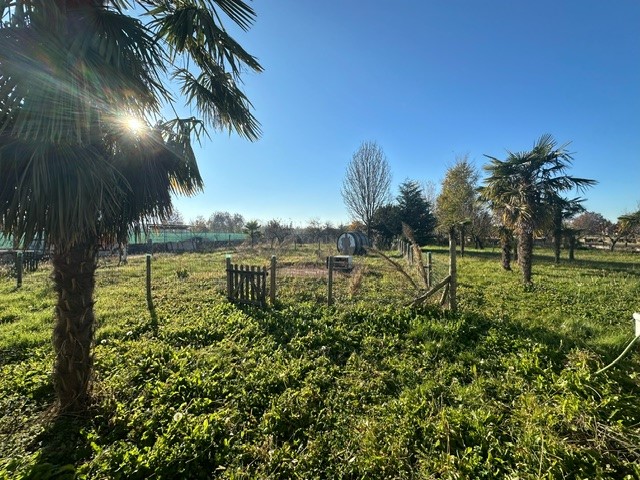 Immagine 29 di Casa indipendente in vendita  in via Sant'Antonio a Vigodarzere