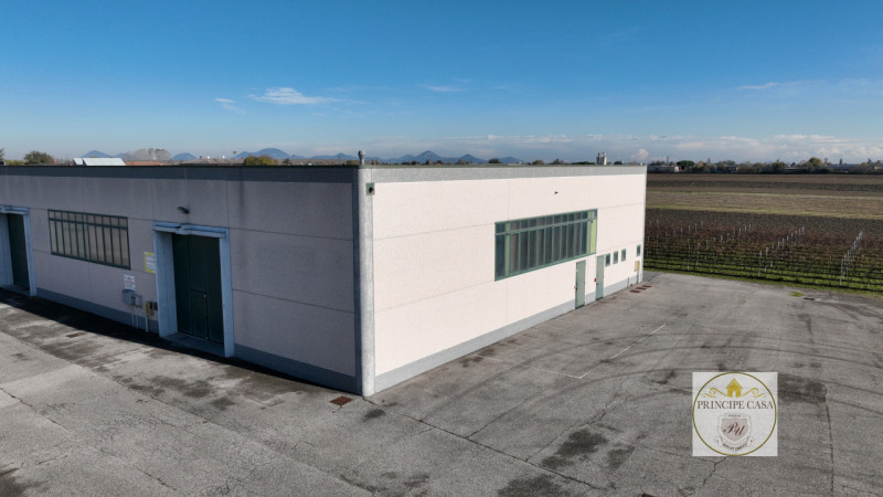 Immagine 2 di Capannone industriale in vendita  in Via Correr a Casale Di Scodosia