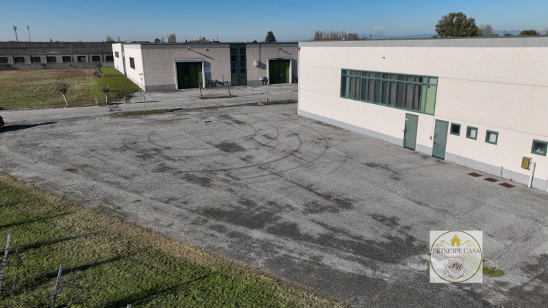 Immagine 3 di Capannone industriale in vendita  in Via Correr a Casale Di Scodosia