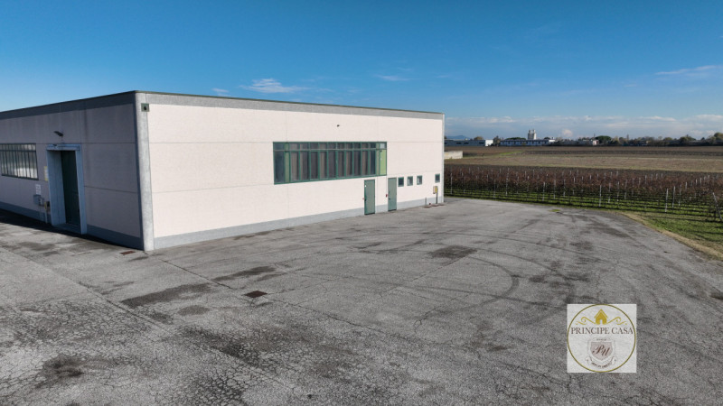Immagine 4 di Capannone industriale in vendita  in Via Correr a Casale Di Scodosia