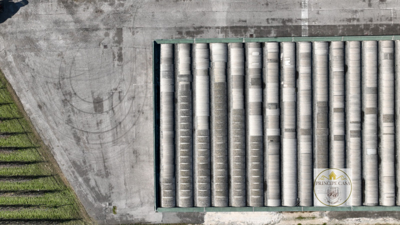 Immagine 5 di Capannone industriale in vendita  in Via Correr a Casale Di Scodosia