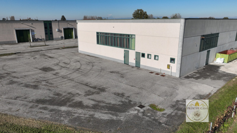 Immagine 6 di Capannone industriale in vendita  in Via Correr a Casale Di Scodosia