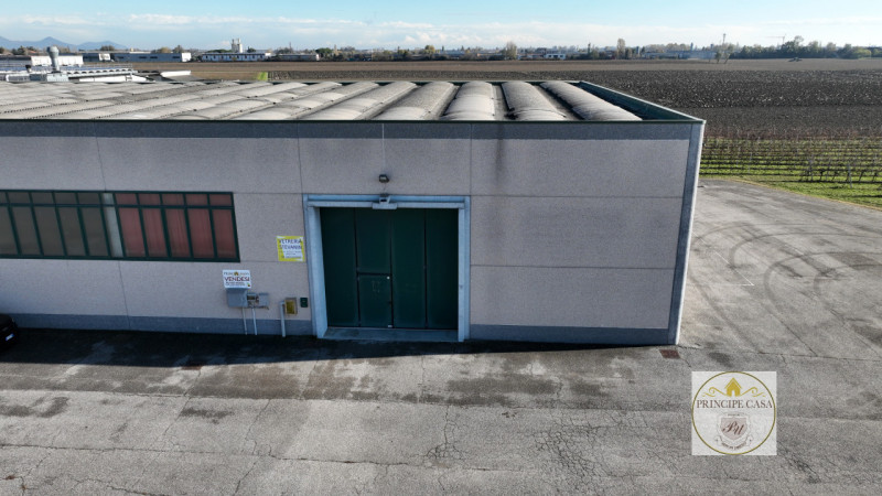 Immagine 7 di Capannone industriale in vendita  in Via Correr a Casale Di Scodosia