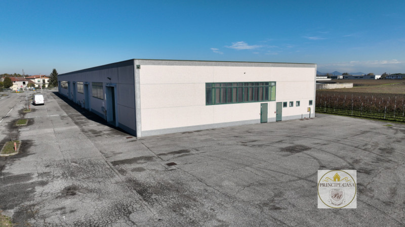 Immagine 9 di Capannone industriale in vendita  in Via Correr a Casale Di Scodosia