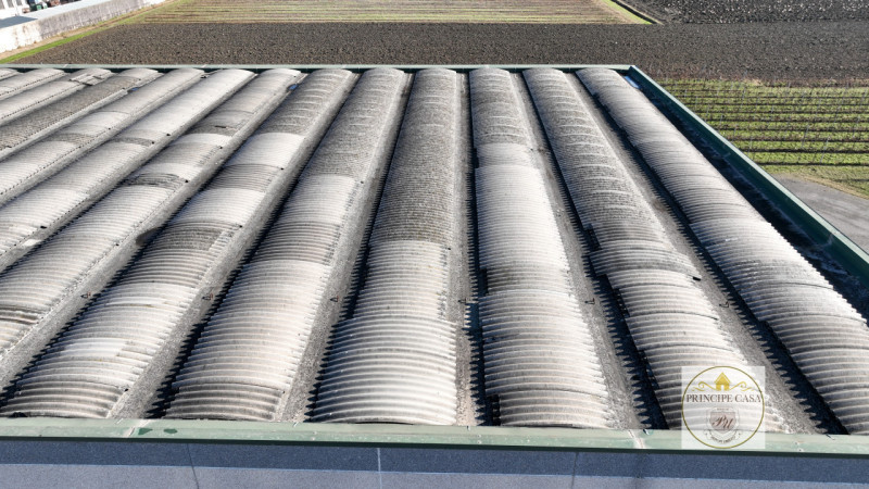 Immagine 14 di Capannone industriale in vendita  in Via Correr a Casale Di Scodosia