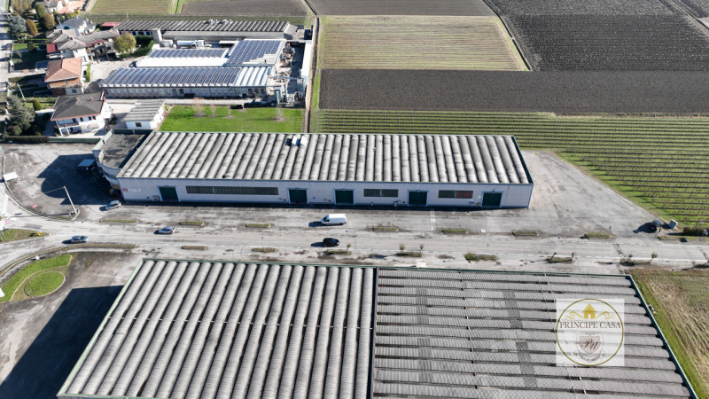 Immagine 15 di Capannone industriale in vendita  in Via Correr a Casale Di Scodosia