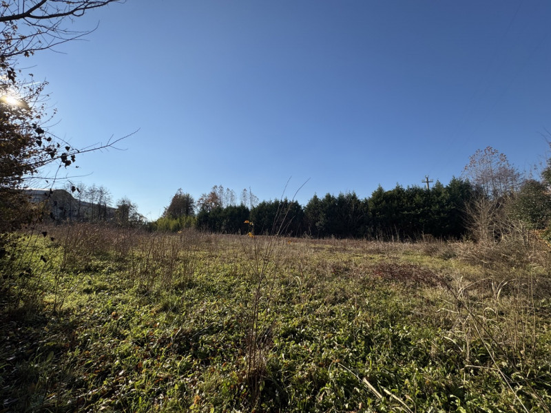 Immagine 4 di Terreno in vendita  in via Marconi a Colceresa