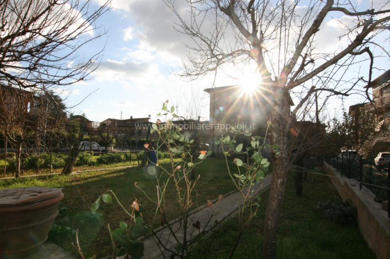 Immagine 12 di Casa indipendente in vendita  a Asciano