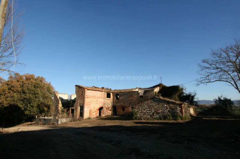 Immagine 1 di Rustico / casale in vendita  a Asciano
