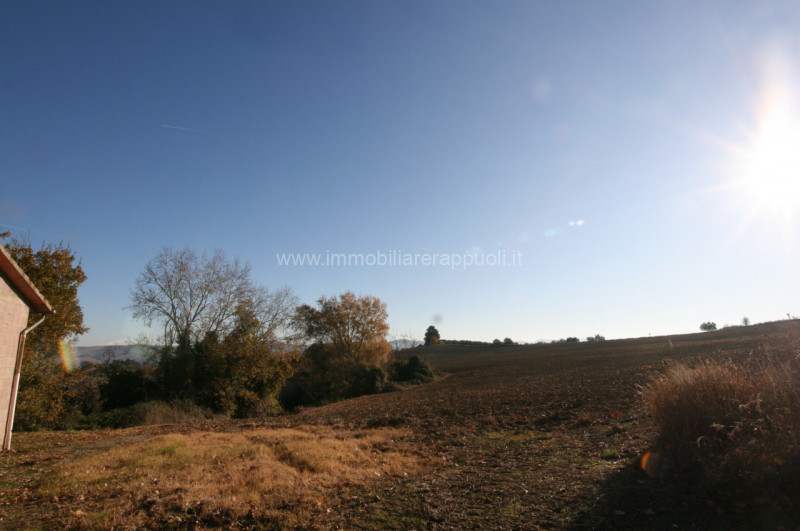 Immagine 6 di Rustico / casale in vendita  a Asciano