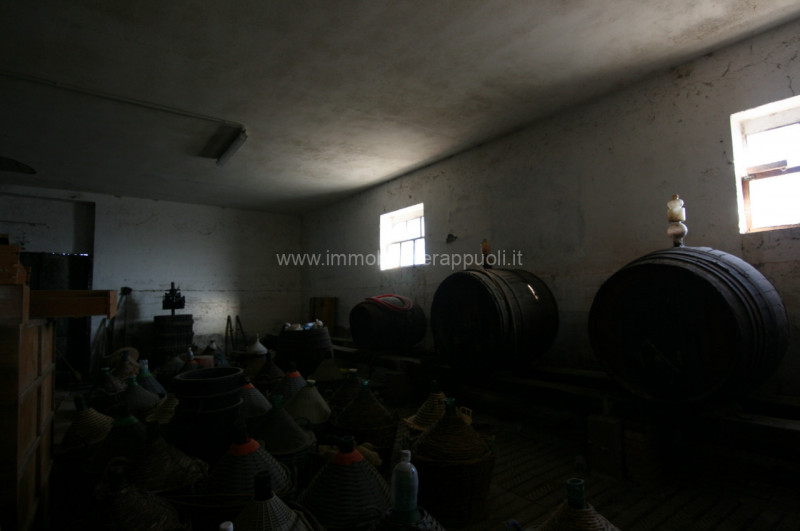 Immagine 10 di Rustico / casale in vendita  a Asciano