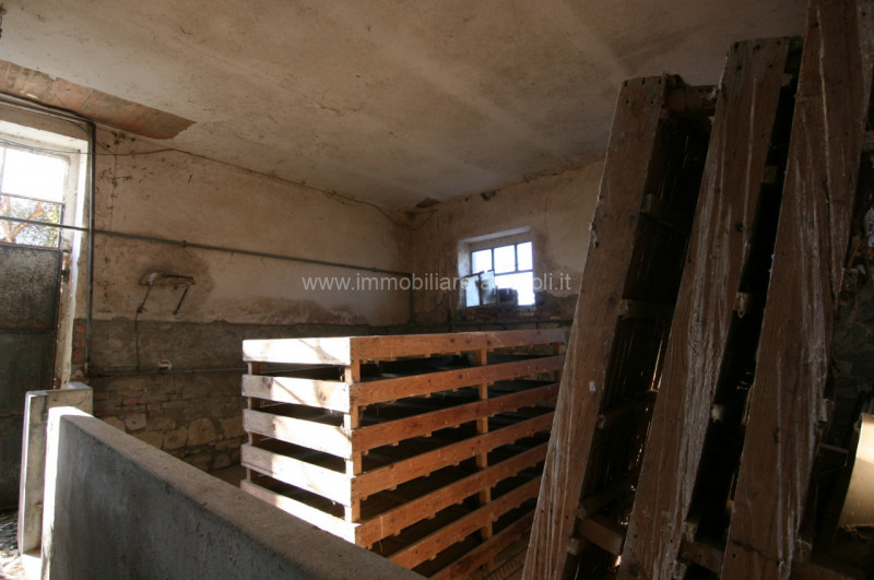 Immagine 11 di Rustico / casale in vendita  a Asciano