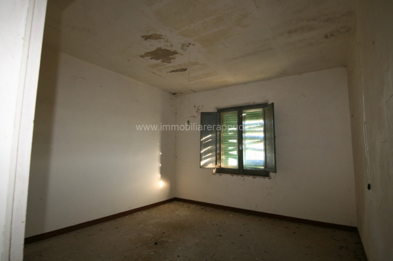 Immagine 14 di Rustico / casale in vendita  a Asciano