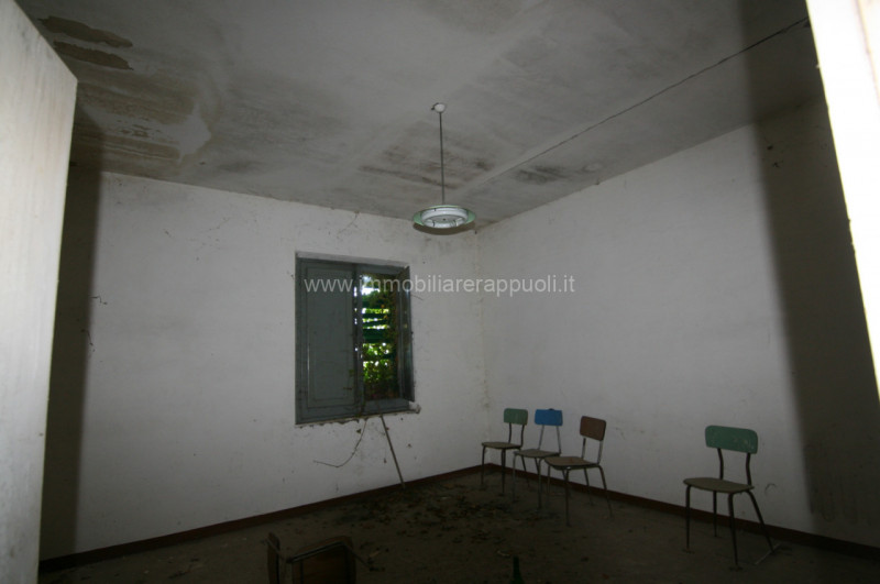 Immagine 15 di Rustico / casale in vendita  a Asciano