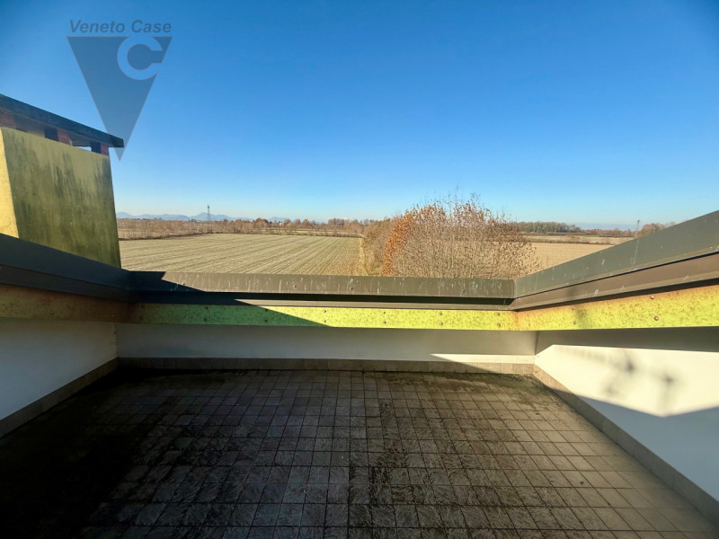 Immagine 2 di Villetta a schiera in vendita  a Legnaro