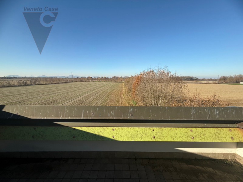 Immagine 3 di Villetta a schiera in vendita  a Legnaro