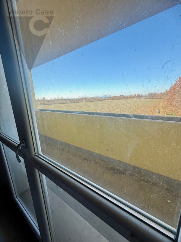 Immagine 14 di Villetta a schiera in vendita  a Legnaro