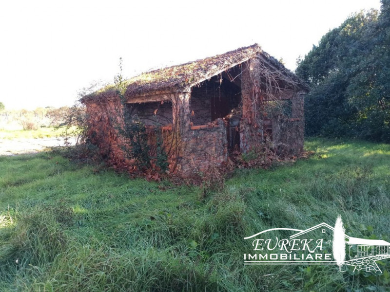 Immagine 16 di Rustico / casale in vendita  a Castiglione Del Lago