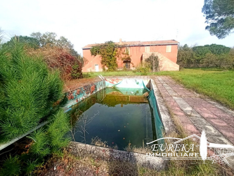 Immagine 18 di Rustico / casale in vendita  a Castiglione Del Lago